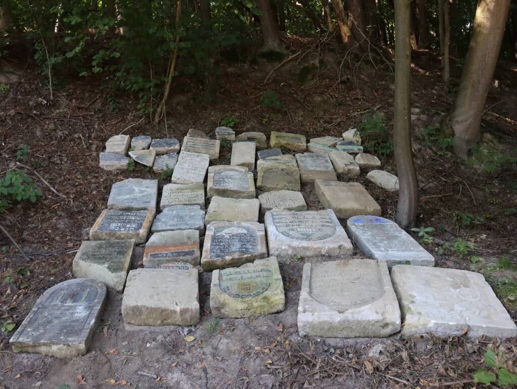 371826164 620853733494973 4652942484662276676 n 2023 08 28 155731