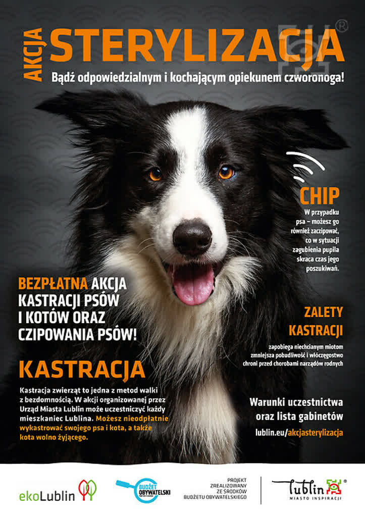 Bezpłatna sterylizacja dla psów i kotów. Lista gabinetów w Lublinie 2 akcja_bezplatnej_sterylizacji_psow_i_kotow,klOWfqWibGpC785HlXs.jpg