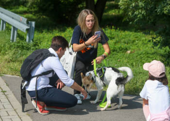 bq8v2303 2023 08 27 155738