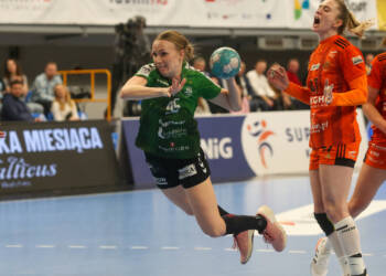 bq8v3352 2023 08 08 191653