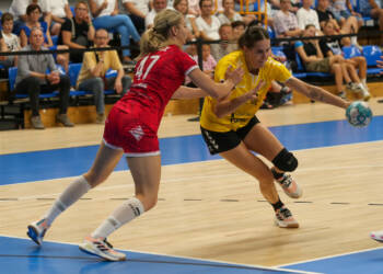 bq8v9888 2023 08 19 220958