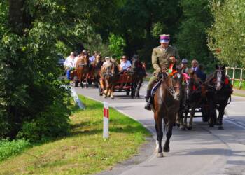 dsc 0959a 2023 08 27 214300