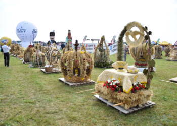 dsc 0993 2023 08 27 202138