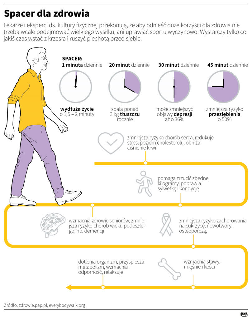 Badanie: im więcej chodzimy, tym mniejsze ryzyko przedwczesnego zgonu 2 igrafika_20230811_03.png