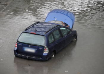 mid 23830242 2023 08 30 154228