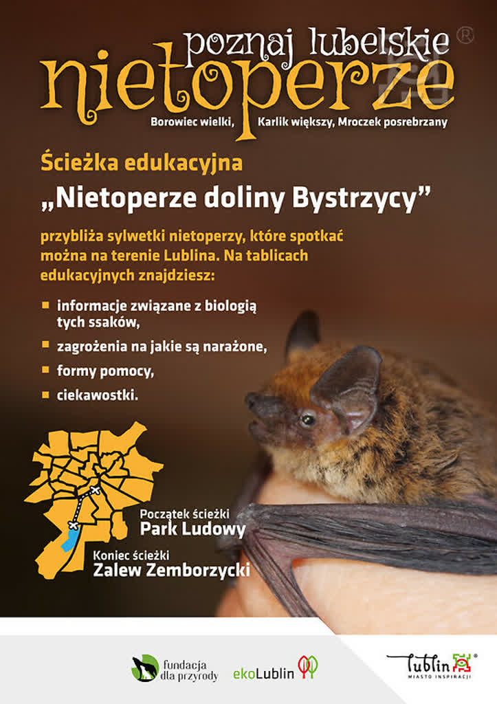 Lublin świętuje Noc Nietoperzy. Można dostać schron dla gacka 2 nietoperze.jpg
