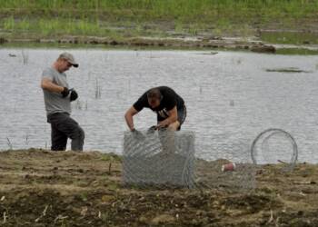 p8030171 2023 08 09 133202