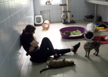 p8060692 2023 08 06 175500