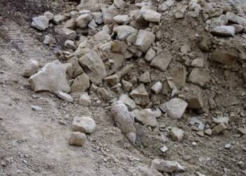 p8100107 2023 08 10 203940