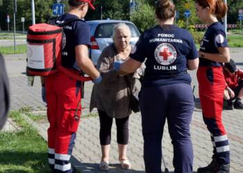 p8110261 2023 08 11 111703