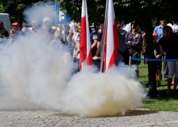 p8120149 2023 08 12 182501