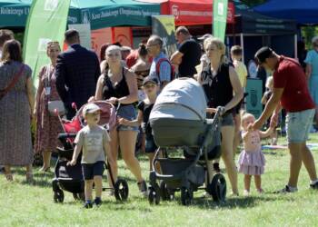 p8130036 2023 08 13 192810