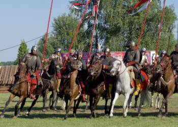 p8130426 2023 08 13 204429