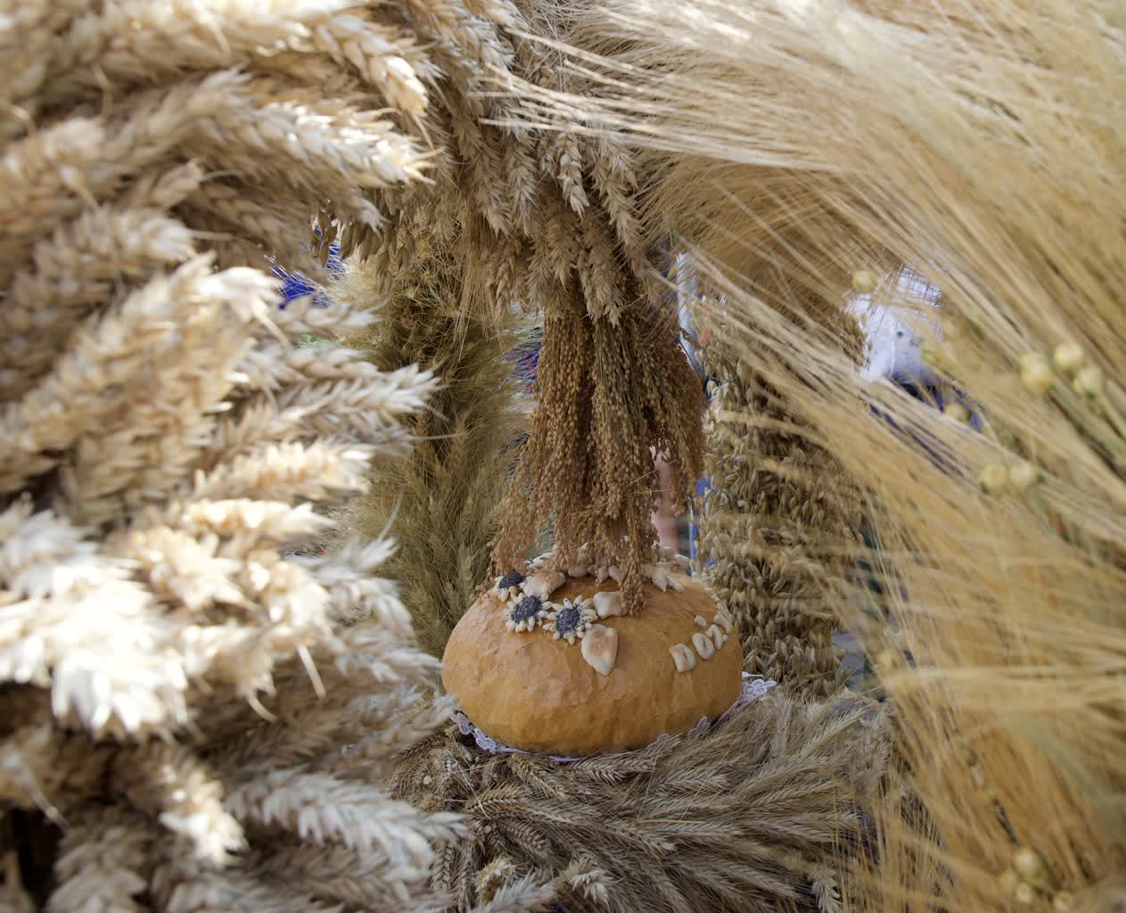 Lech Sprawka o zakazie importu zbóż z Ukrainy: Może zapaść jednostronna decyzja 2 P8200610.jpeg