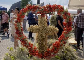 p8200614 2023 08 20 174035