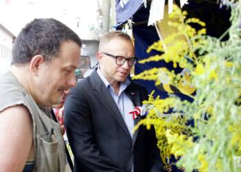 p8272426 2023 08 27 211913