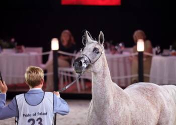 pride 130823 055 2023 08 13 232108