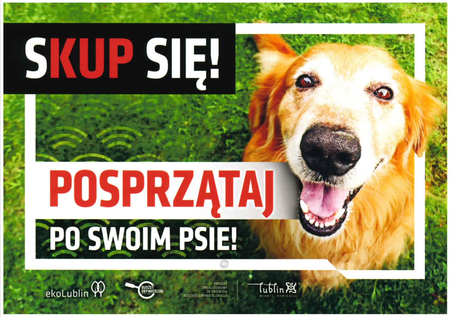 Sprzątajmy po swoich pupilach! 2 Sprzątaj po swoim psie - 2023.jpg
