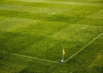 the ball 488709 960 720 2023 08 03 195716