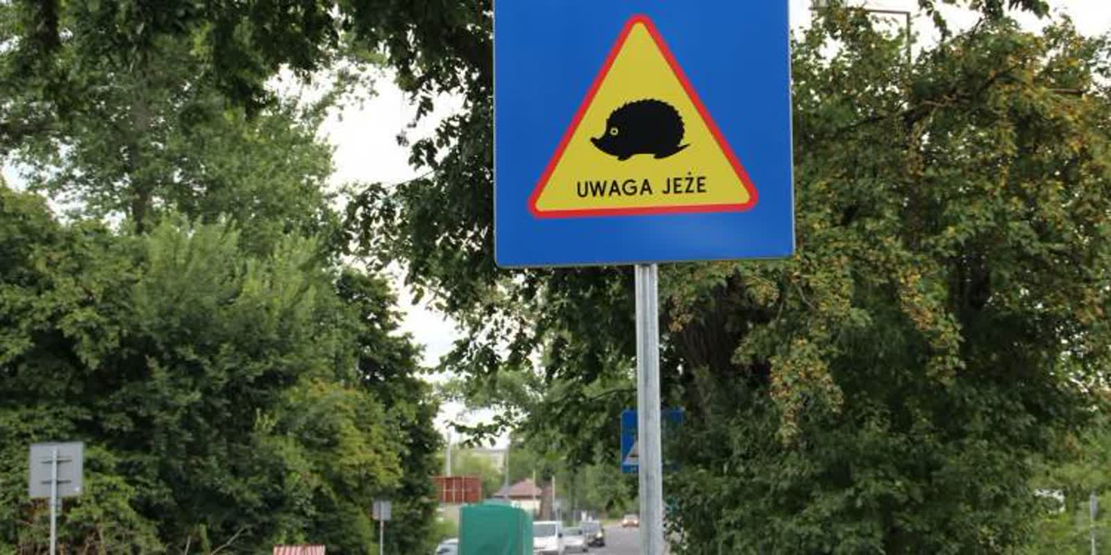 Miasto chce zadbać o jeże. Będą specjalne znaki 2 uwaga_jeze_1-2021-08-23-200946-750x375.jpg