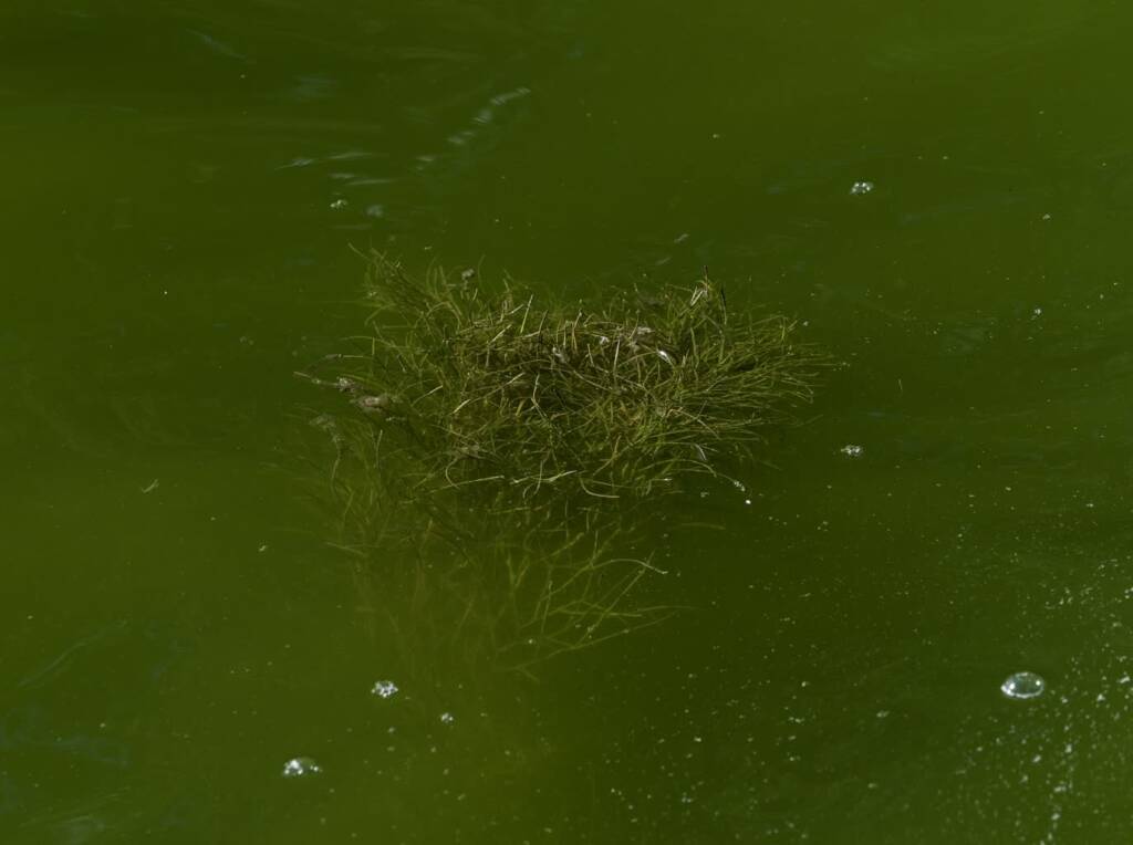 woda 1 2023 08 02 184724