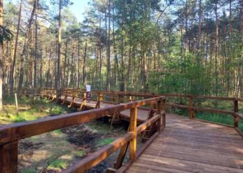 20230928 153046 2023 09 28 162715