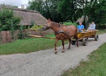 371925775 808091417454057 1486276466215944020 n 2023 09 02 182721