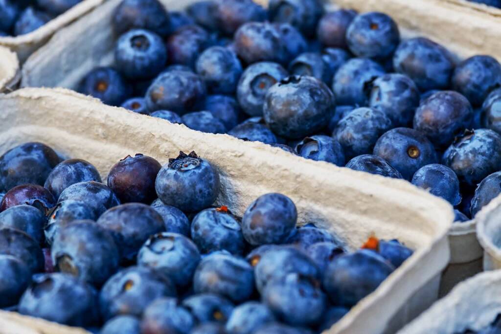 blueberries 3474854 1920 2021 08 05 092103 2023 09 28 111152