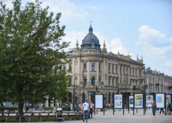dsc 3869 2023 09 03 105610