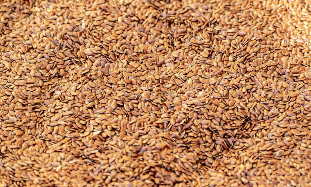 flax seeds 6910010 1280 2023 09 18 103350