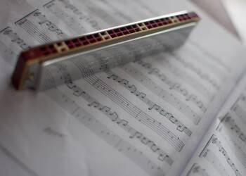 harmonica 2619860 1280 2023 09 15 141344