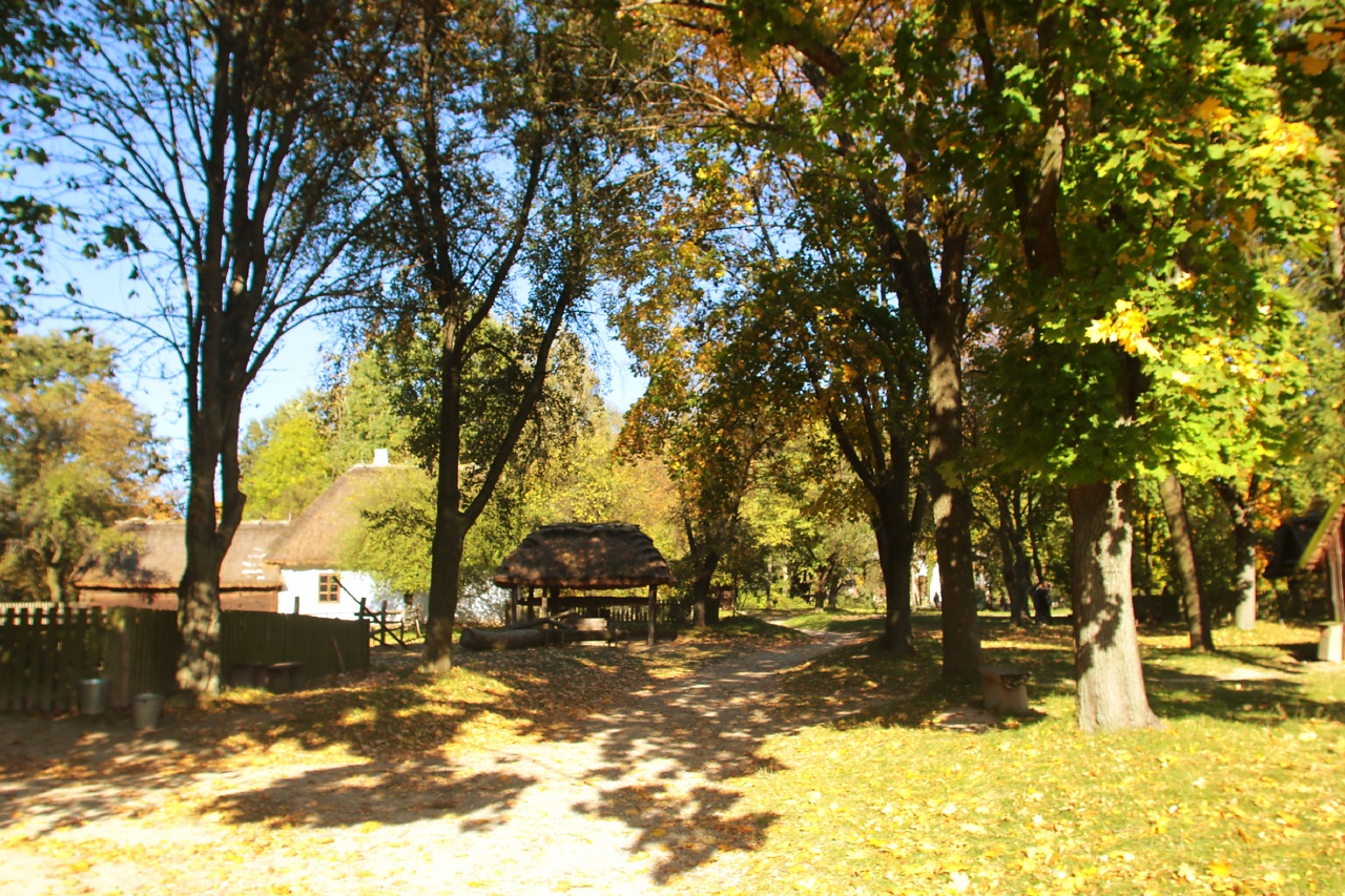 Słoneczny i upalny poniedziałek 2 JESIENSKANSEN-101021-025.jpg