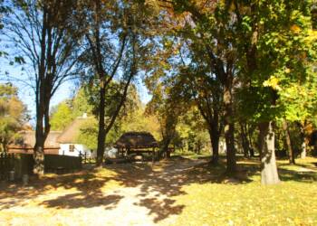 2021.10.10. LUBLIN . MUZEUM WSI LUBELSKIEJ . JESIEN . FOT. PIOTR MICHALSKI