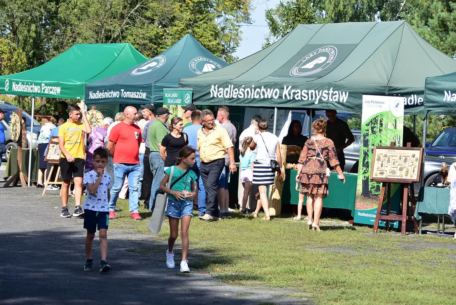 100 lat pracy leśników. Lasy Państwowe świętują 2 lasy.jpg