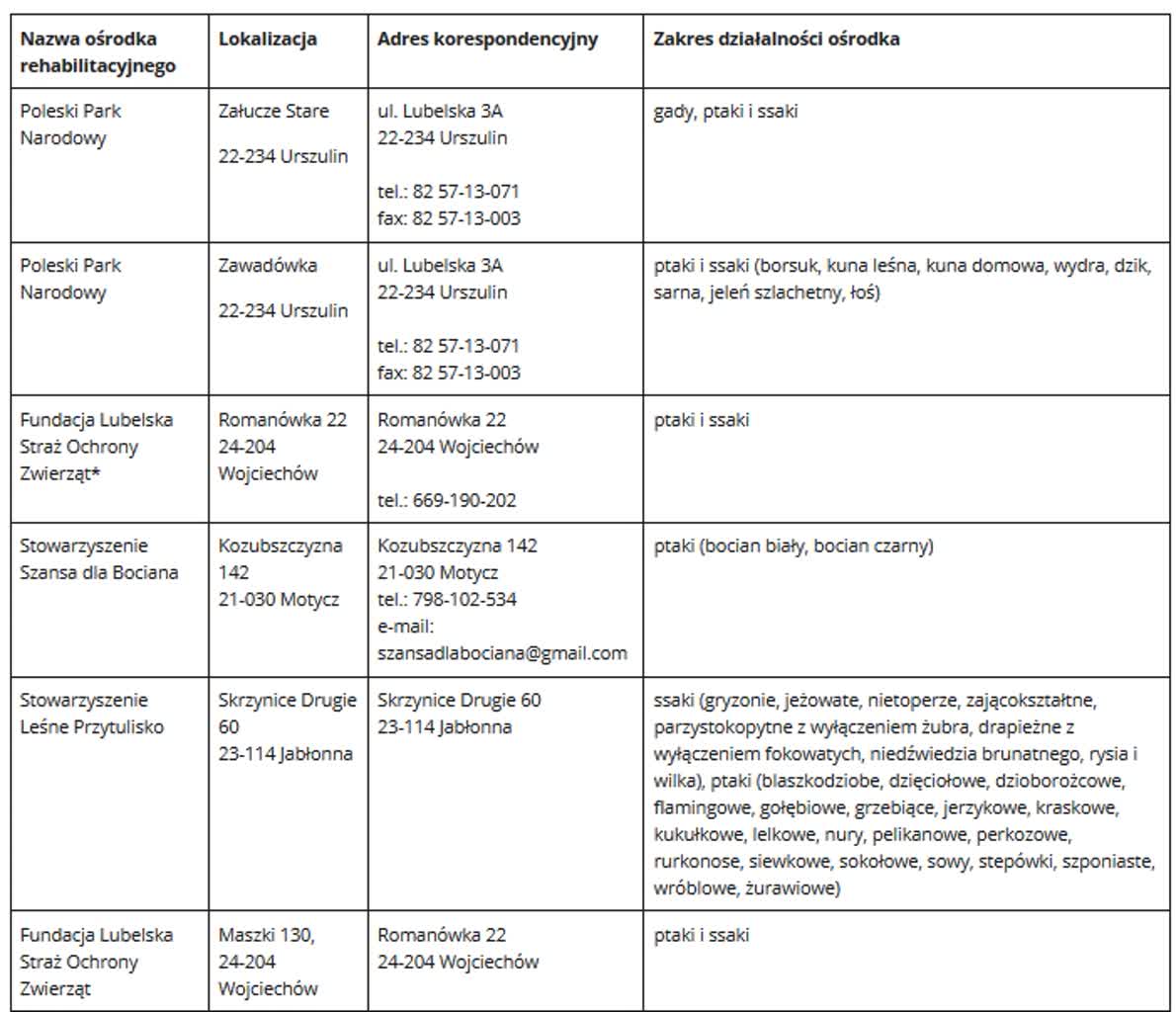 Widzisz rannego ptaka? Sprawdź, jak możesz mu pomoc 6 ośrodki 2.jpg