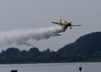 p9090387 2023 09 09 215009