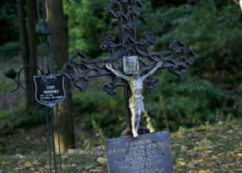 p9166887 2023 09 17 133641