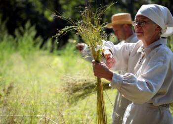 pm len 030923 018 2023 09 03 145838