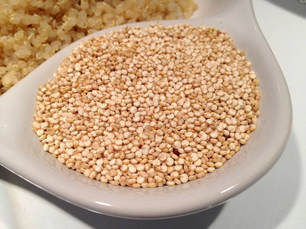 quinoa 405538 1280 2023 09 04 095631