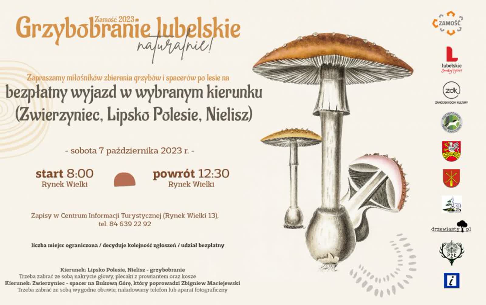 Grzybobranie w centrum miasta. Rusza niezwyczajny festiwal 3 15474b.jpg