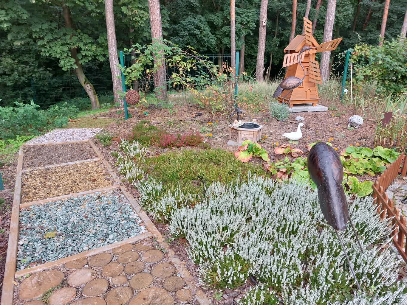 Specjalny ogród pomaga dzieciom z niepełnosprawnościami. Można wspomóc jego rozbudowę 2 20231002_083249.jpg