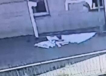 350 229701 2023 10 19 110542