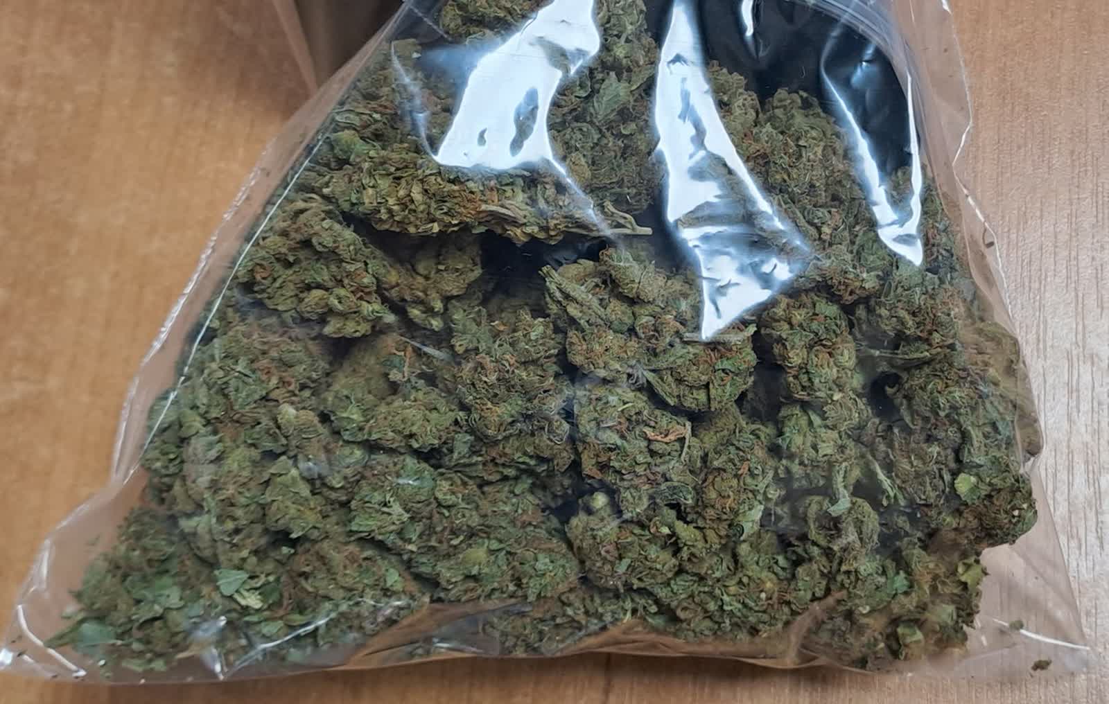 Diler z Łukowa w areszcie. Miał w domu marihuanę i amfetaminę 2 352-229394.jpg