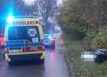 356 229927 2023 10 23 111426