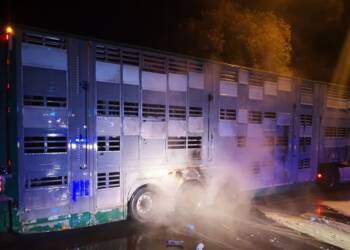 356 230235 2023 10 28 111100