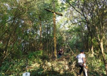 384518835 280498831577515 4229118007934041671 n 2023 10 02 152953