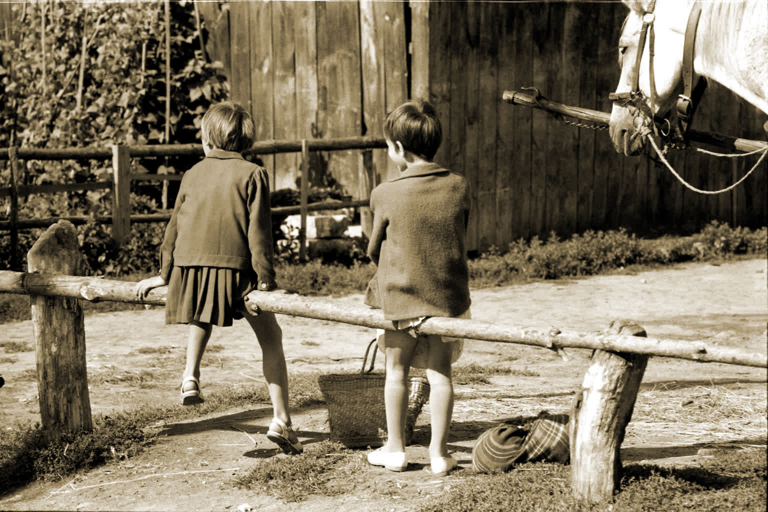 Fotograficzny “Targowy czwartek” w Zamościu 2 386509216_704351515052470_2520098680000186441_n.jpg