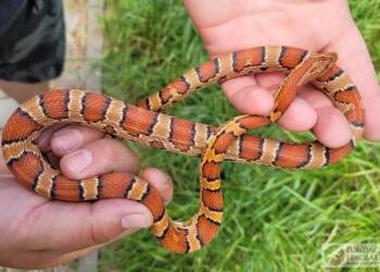 387735705 706806458157021 2925737746833090999 n 2023 10 08 213209