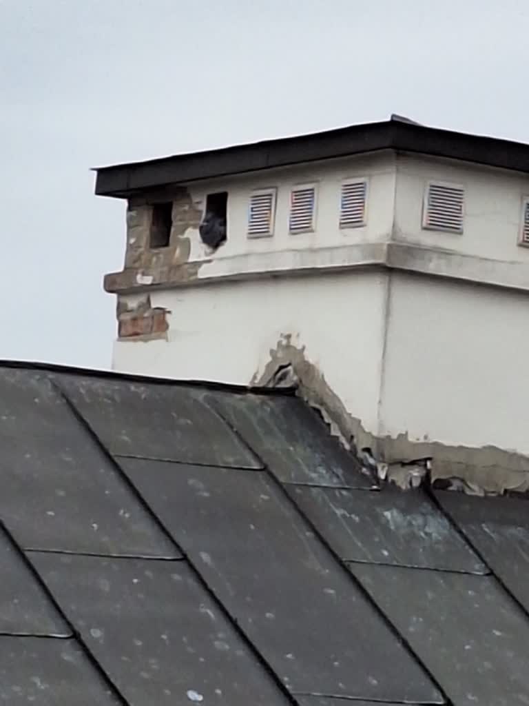 Mieszkańcy walczą o nowe kratki. Miasto oskarża kawki 2 391716821_333708002647705_6434087566612000810_n.jpg