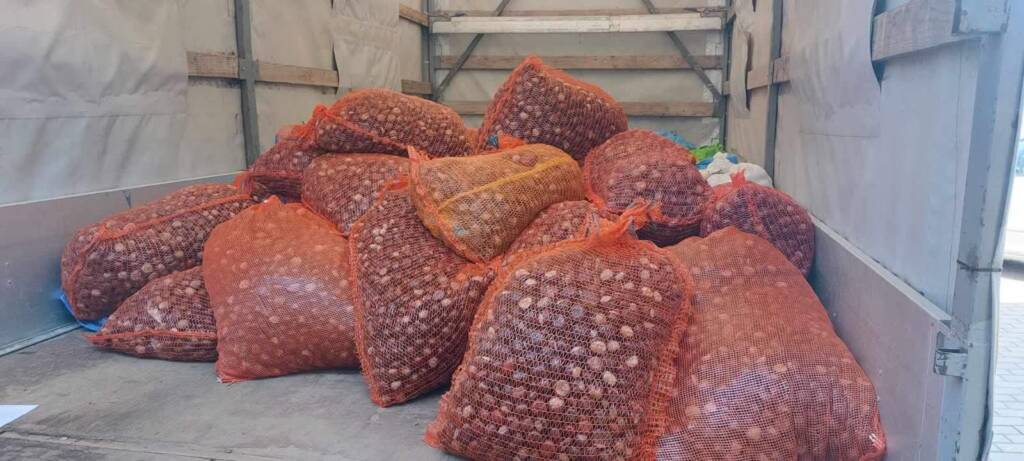 393973705 766143215524212 8653569061599370450 n 2023 10 20 182545